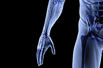 Anatomy & Physiology D20001 - Level 5